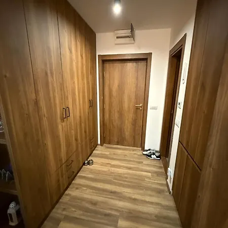 Brown Elegant & Kop * Kopaonik