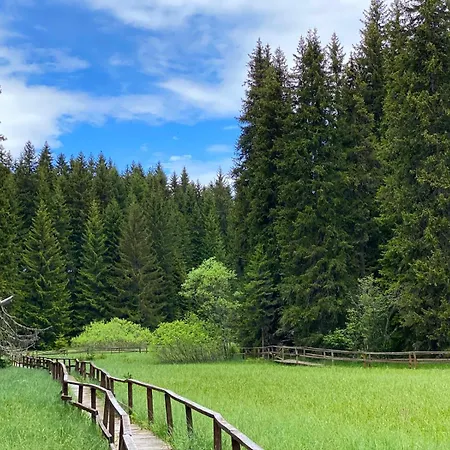 Brown Elegant & Kop *