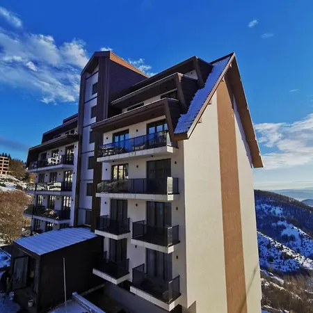 Brown Elegant & Kop *