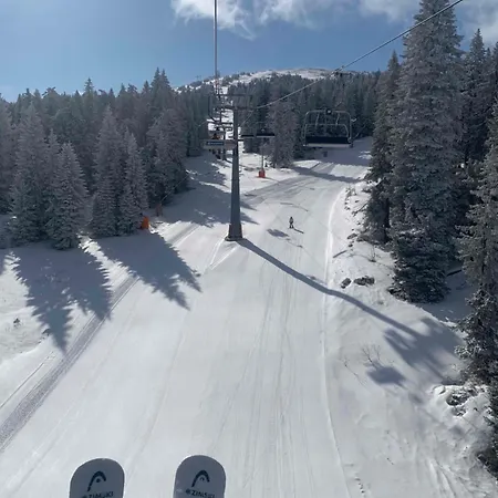 Apartamento Brown Elegant & Kop