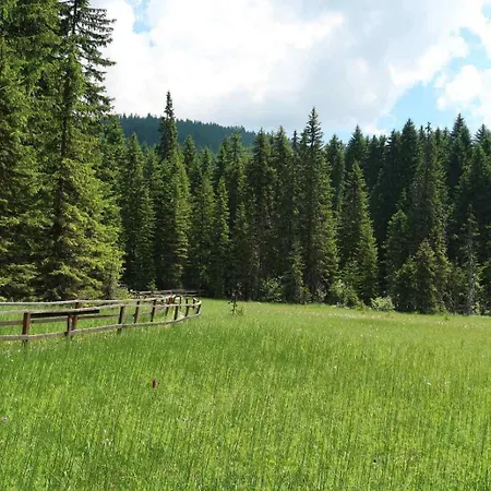 Braon Kop Apartment *